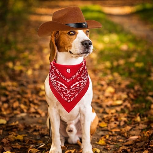 Fumwase Pet Cowboy Costume Hats with Bandana, Brown Hat + Red, Large - Image 6