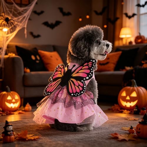 KOOLTAIL Halloween Dog Dress Butterfly Costume for Small Medium Dogs Girl - Image 2