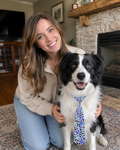 PET SHOW 10 Pack Paisley Dog Ties Neckties XL for Extra Large Dogs - Image 4