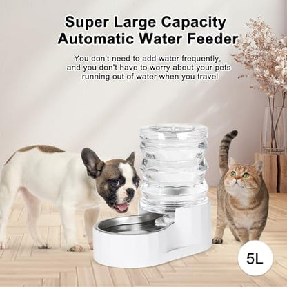 RIZZARI 5L Gravity Cat Water Dispenser: Filtered for Small Pets