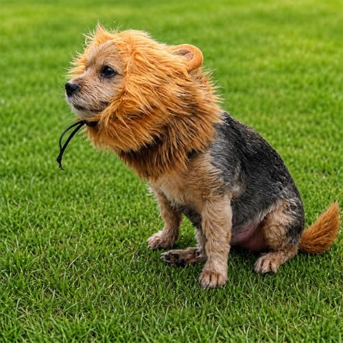 Halloween Lion Mane Pet Set, Hood and Tail - Small to Medium-Large Breed Funny Clothes Outfit Apparel (Small) - Image 5