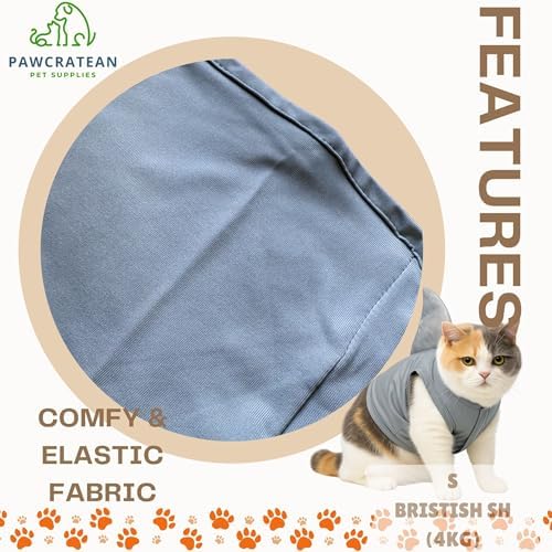 Pet Custom Dog Custom Cat Custom Hoodie, Sporty Look, Funny Gift, Halloween Holiday (Shark with Standing Fin, Small) - Image 5