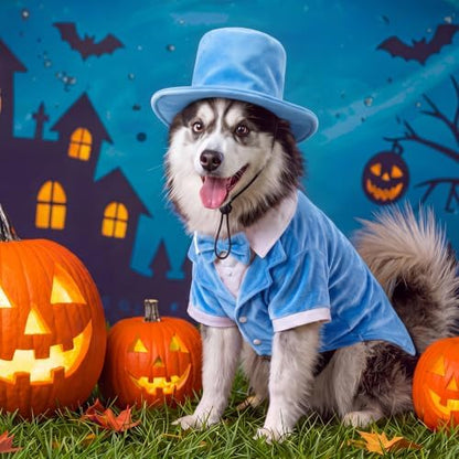 Dansydaisy 2 Pcs Halloween Orange and Blue Tuxedo Dog Costumes, Blue, XL - Image 6