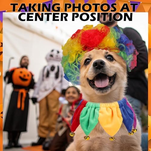 EXPAWLORER Dog Halloween Costume, 2 Pack Funny Doggie Cosplay Rainbow Jester Clown Wig with Collar, Adjustable Headwear Dress Up Holiday Apparel for Party for Small Medium Large Dogs Puppies Cats - Image 5
