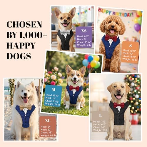 AVERYDAY Dog Tuxedo for Wedding Outfit, Dog Suit and Tie Costumes for Birthday, Halloween, Cosplay, Christmas Party, Pet Formal Wear with Bowtie, Tux for Medium Large Dogs, Bulldog, Labrador, Husky - Image 6