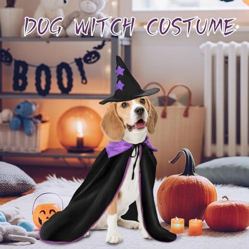 Rypet Halloween Dog Witch Costume Set Hat & Cape for Medium Large Dogs, L - Image 2