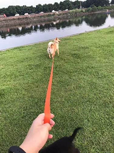 AMAGOOD Long Dog Leash for Training 15FT 20FT 30FT 50FT 100FT Long Dog Lead for Medium and Small Dogs Training,Tie Out,Play,Camping(15feet, Blue)