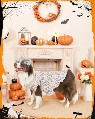 4P Funny Granny Wolf Dog Pet Costume – Halloween Old Lady Costume for Medium and Large Dogs – Includes Dress, Wig, Glasses & Chain Pet Halloween Party Inspired by Fairy Tales - Image 5
