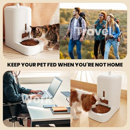 JUNSPOW Automatic Cat Food Dispenser with Stainless Steel Bowl