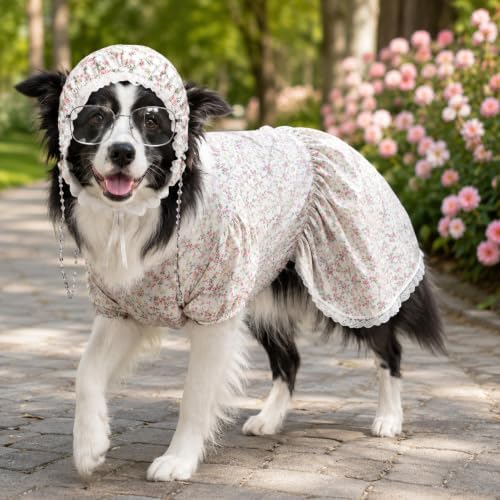 3 Pcs Halloween Wolf Granny Dog Costume Old Lady Grandma Costume for Dogs Hat Dress Glasses for Halloween Dog Party Dress Up Outfit 3XL - Image 6