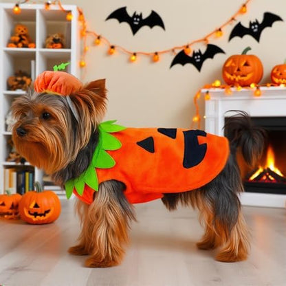 ABRRLO Funny Dog Pumpkin Costume Small Dog Cat Halloween Costumes Boy Girl Cute Halloween Dogs Shirt with Leash Ring Pumpkin Hat Puppy Cosplay Outfits Pet Party Clothes Apparel Yorkie Chihuahua(S) - Image 6