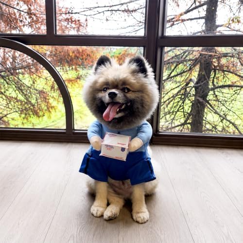 Postman Blue Pet Halloween Costume, Plush Parcel and Postman Hat - Small to Medium-Large Breed Funny Clothes Outfit Apparel (Large) - Image 6