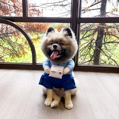 Postman Blue Pet Halloween Costume, Plush Parcel and Postman Hat - Small to Medium-Large Breed Funny Clothes Outfit Apparel (Large) - Image 6