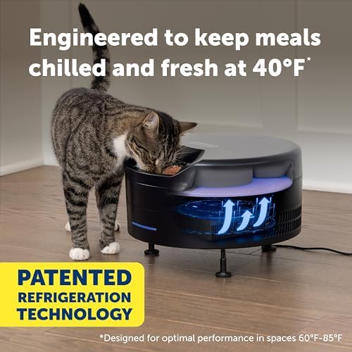 PetSafe FreshFeed Refrigerated Automatic Wet Food Feeder, 6 Meals, Black