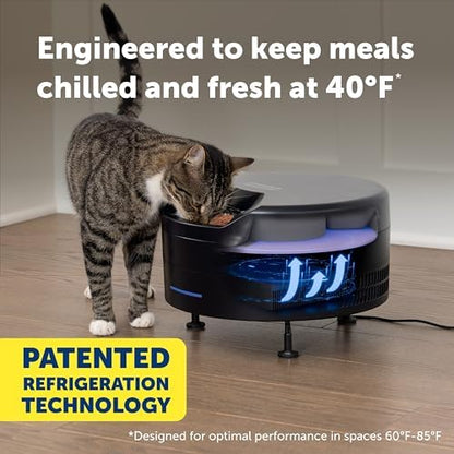 PetSafe FreshFeed Refrigerated Automatic Wet Food Feeder, 6 Meals, Black