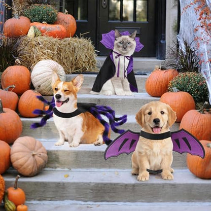 3 Pcs Halloween Costume for Dog Cat, Spider Bat Wings Cape, Purple, S - Image 5