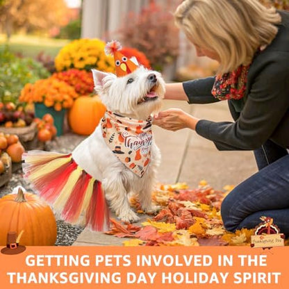 SCENEREAL Thanksgiving Dog Bandana Dress with Hat Set, Pet Turkey Costume for Small Medium Sized Dogs, Cute Tutu Skirt Outfit for Party Halloween - Image 5