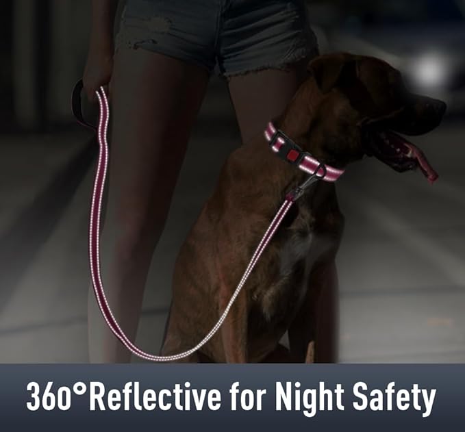 Airtag Dog Collar with AirTag Holder for Small Dogs, Reflective, Soft Padded & Safety Locking Buckle, Nylon Pet Collars Adjustable for All Breeds, Hotpink,S