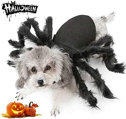 Dog Cat Spider Costume for Halloween Party Decoration, Halloween Cosplay Costumes for Small Dogs and Cat, Puppy Dress Up Accessories by Puoyis