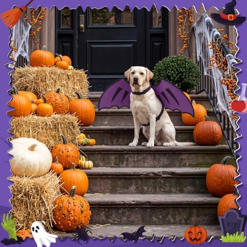 Dog Dragon Wings, Halloween Dragon Costume for Dog Cat, Purple, XL - Image 6
