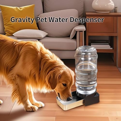 PAKEWAY 2.4 Gallon Dog Water Dispenser: Large Capacity for Multi-Pet Homes