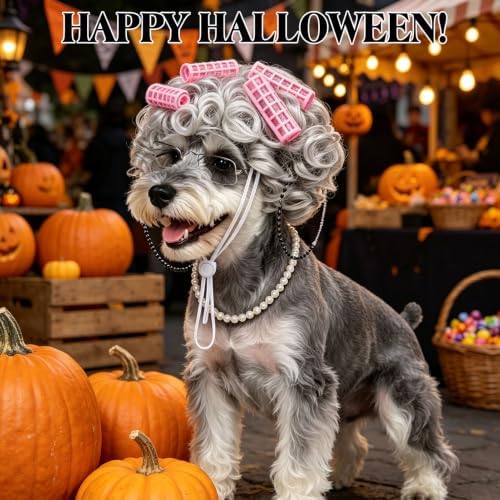 EXPAWLORER 4 Pcs Dog Halloween Old Lady Costume, Funny Pet Grandma Outfit with Adjustable Curler Wig, Pearl Necklace, Glasses and Chain, Ideal for Halloween, Christmas, Cosplay & Pet Birthday Parties - Image 7