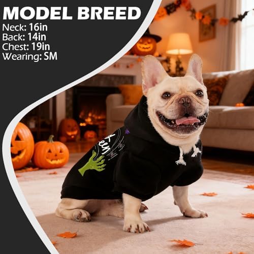 EXPAWLORER Dog Hoodies for Small Medium Large Dogs,Halloween Theme Black M - Image 7