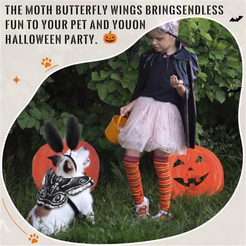 Tallew 2 Pcs Dog Halloween Costumes Moth Butterfly,S,Black,White - Image 5