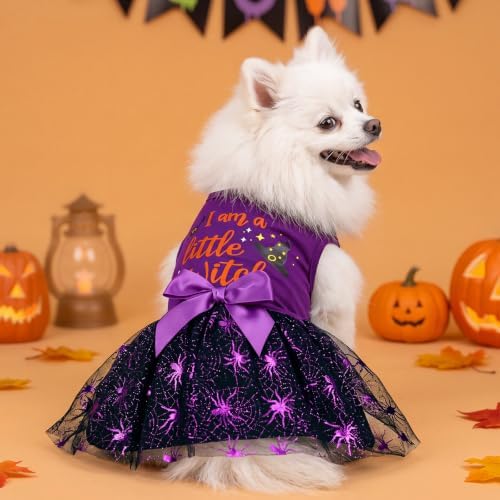 XPUDAC Halloween Dog Dress Witch Tulle Dress Holiday Dog Clothes for Small Dogs Girl, Spider Pet Costume Cat Apparel, Purple-Medium - Image 3