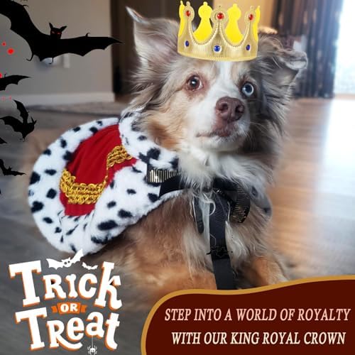 Large Dog Crown Headband Pet King Crown Halloween Costume Round Dog Cat Crown for Rolyal Family Costume Birthday Prince Hair Accessories Photo Prop Outfits (Gold Crown, Large) - Image 6