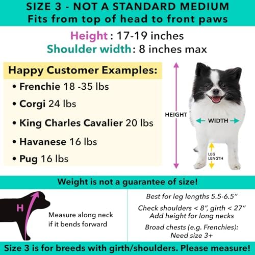 Pandaloon Dog Halloween Costume - As Seen on Shark Tank - Patented - Funny Costume with Arms for Small and Medium Dogs and Cats (Panda, Size 3(17-19 in Height at TOP of Head,Girth<22 in)) - Image 4