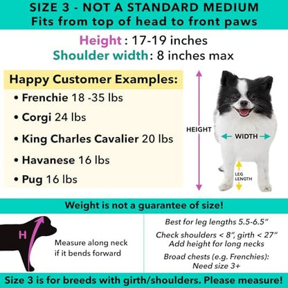 Pandaloon Dog Halloween Costume - As Seen on Shark Tank - Patented - Funny Costume with Arms for Small and Medium Dogs and Cats (Panda, Size 3(17-19 in Height at TOP of Head,Girth<22 in)) - Image 4