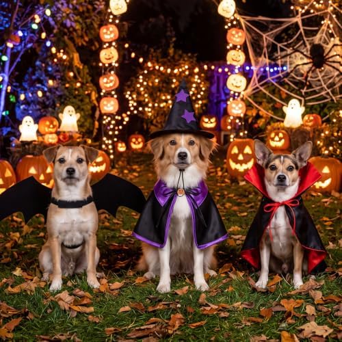 3 Sets Halloween Cat Dog Costume Vampire Cloak Witch Outfit Bat Wing, Small - Image 4