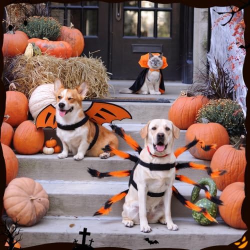 3 Pcs Halloween Costume for Dog Cat, Spider Bat Wings Cape, Orange, S - Image 4