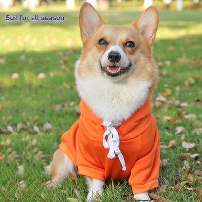 ANIAC Funny Pet Clothes for Small Dog Cat Carrot Dog Hoodies Warm Puppy Sweatshirt Coat with Fruit Hood Fall Cat Sweater Halloween Outfit Easter Dog Carrot Costume (Orange, Medium) - Image 2