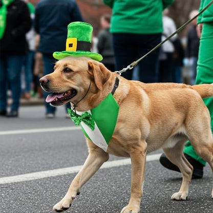 St. Patrick’s Day Dog Tuxedo with Green Bowtie Pet Irish Leprechaun Hat with Belt Buckle Dog Patricks Costume Set Lucky Themed Outfits for Cats Puppies Dos （M） - Image 7
