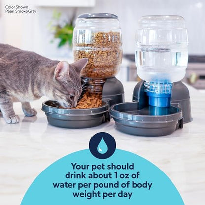 Petmate Replendish Automatic Dog Water Dispenser, 2.5 Gal, 2 Filters