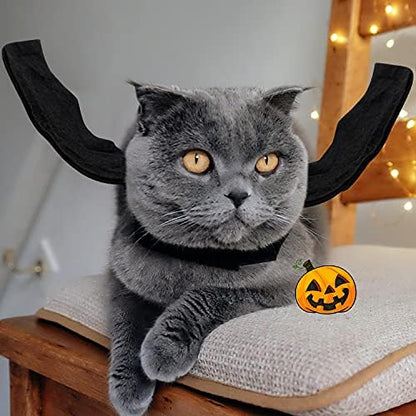 Rypet Cat Halloween Costume, Halloween Bat Wings for Small Dogs Cats, Small - Image 4