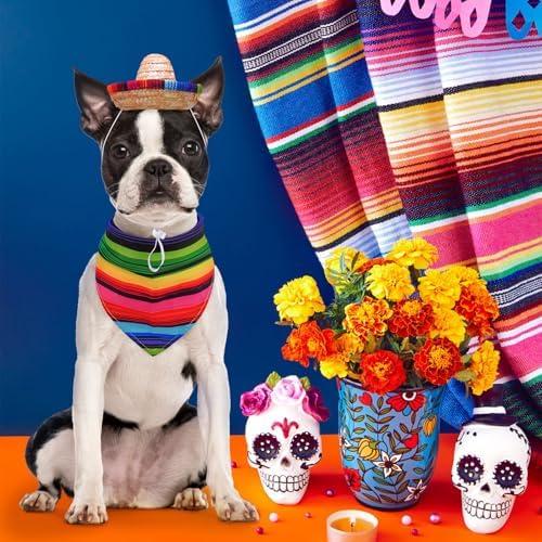 SCENEREAL Mexican Serape Dog Halloween Costume, Dog Hat Bandana Poncho Set - Image 7