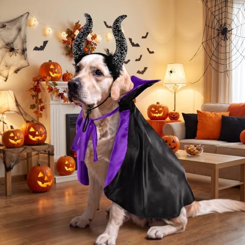 2 Pcs Dog Halloween Costume Set Cat Witch Vampire Cape Devil Horns Hat Holiday Clothes for Cat Puppy Halloween Party Pet Outfits (Purple) L - Image 6