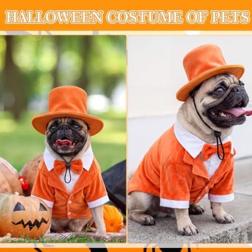 Dansydaisy 2 Pcs Halloween Orange and Blue Tuxedo Dog Costumes, Orange, 3XL - Image 3