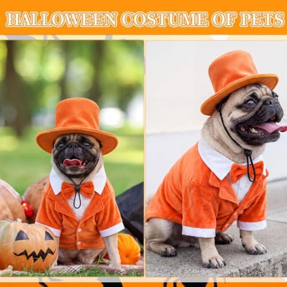 Dansydaisy 2 Pcs Halloween Orange and Blue Tuxedo Dog Costumes, Orange, XL - Image 3