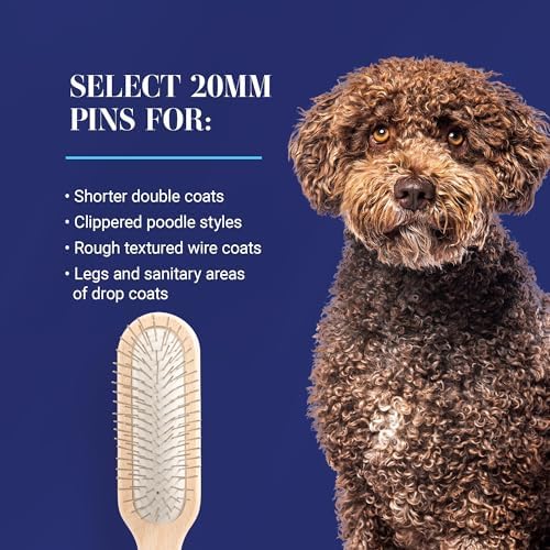 Chris Christensen 20 mm Oblong Pin Dog Brush, Original Series, Groom Like a Professional, Stainless Steel Pins, Lightweight Beech Wood Body, Ground and Polished Tips - Image 5