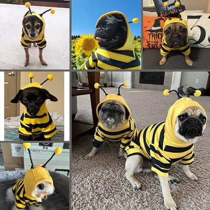 Dog Bee Costume Outfit Bumblebee Hoodie for Small Medium Pet Cat Puppy S - Image 5