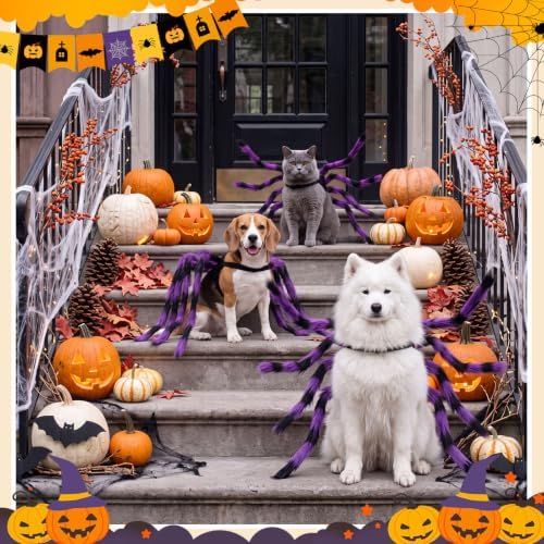 Huhumy Halloween Spider Costume with Safety Harness for Pets, Purple, S - Image 6
