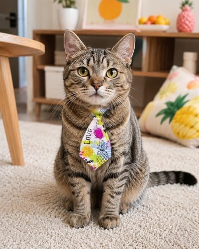 PET SHOW 10 Pack Fruit Dog Ties Neckties XS for Small Dogs - Image 5