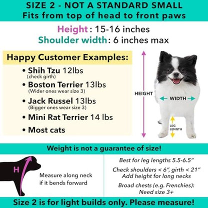 Pandaloon Dog Halloween Costume - As Seen on Shark Tank - Patented - Funny Costume with Arms for Small and Medium Dogs and Cats (Panda, Size 2(15-16 in Height at TOP of Head,Girth<16 in)) - Image 4