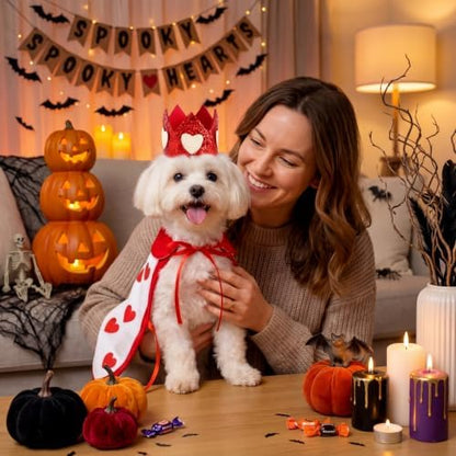Hillban Halloween Dog King Costumes Heart Crown Queen Pet Cloak Set S - Image 2