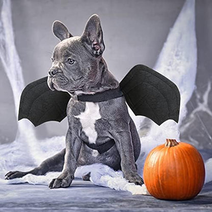 Rypet Dog Halloween Costume, Halloween Bat Wings for Small Dogs Cats, Large - Image 6