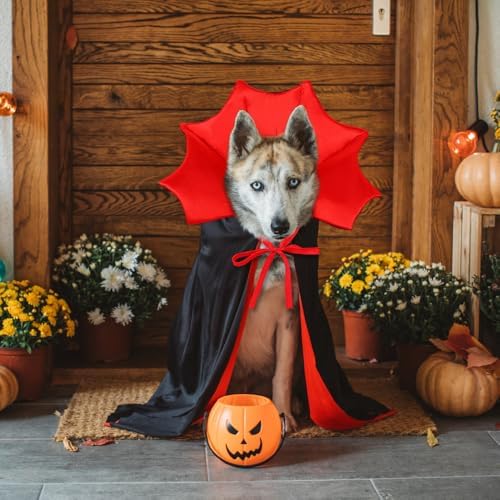Halloween Dog Cat Costume Vampire Devil Cape for M or L Adjustable Cloak - Image 6